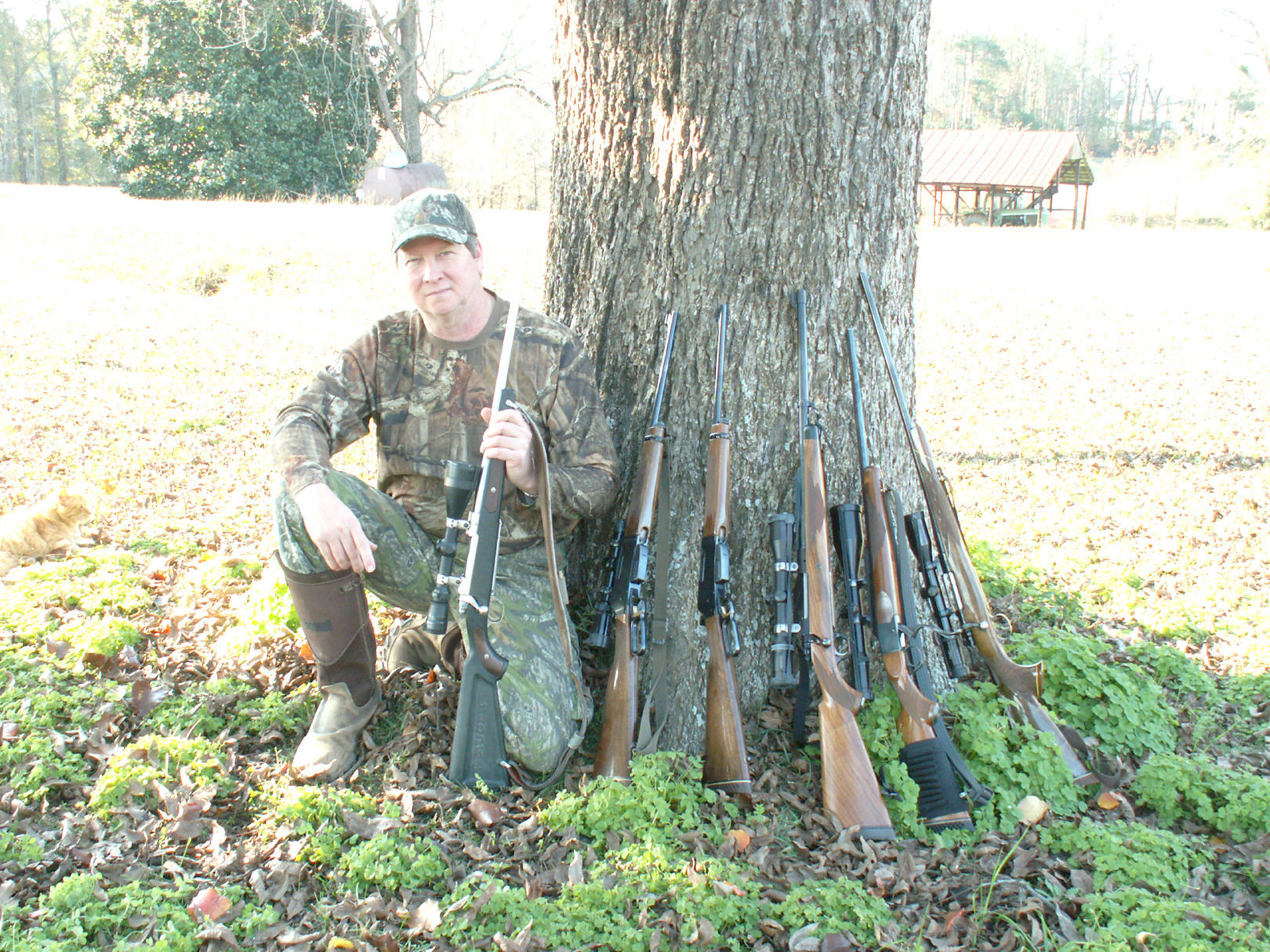 Rheney and rifles